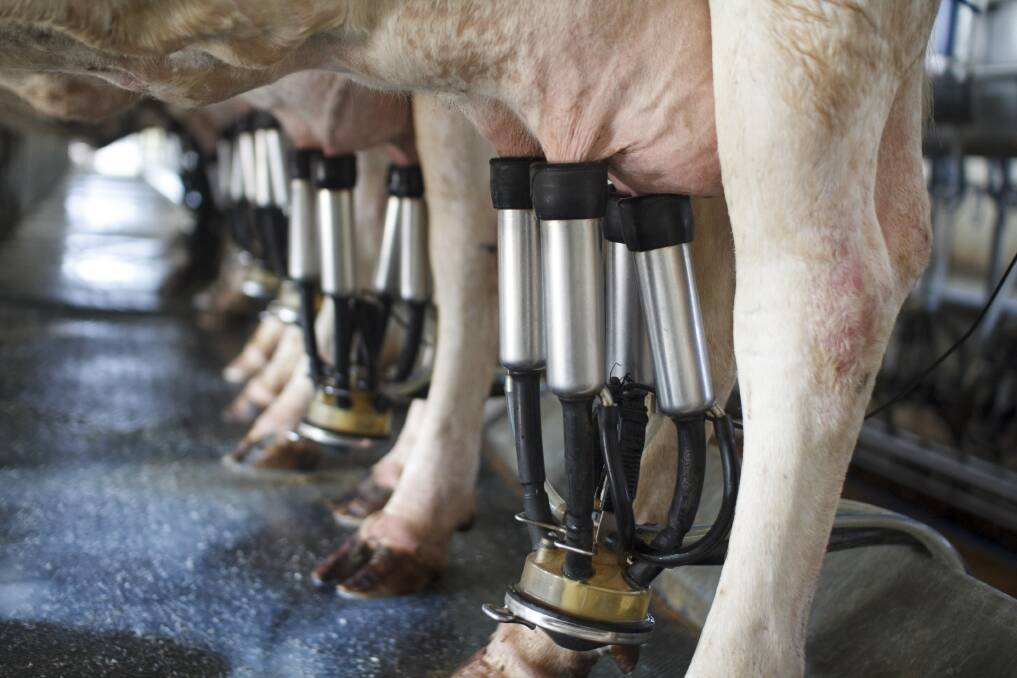 The success of the Dairy Plan relies on farmer input