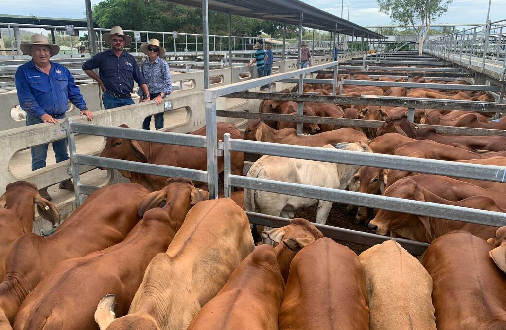 Top X Gracemere agent Brad Mulvihill with clients Andrew and Nancy Creed, Creed Grazing Company, and their Brahman steers which reached 440c/kg, weighed 412kg to return $1700/hd.