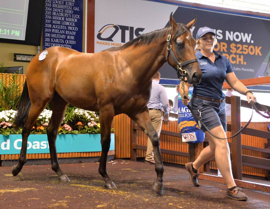 Flemington Group 3 winner Sisstar sells for $600,000 at the 2018 Magic Millions Gold Coast yearling sale. Picture: Magic Millions