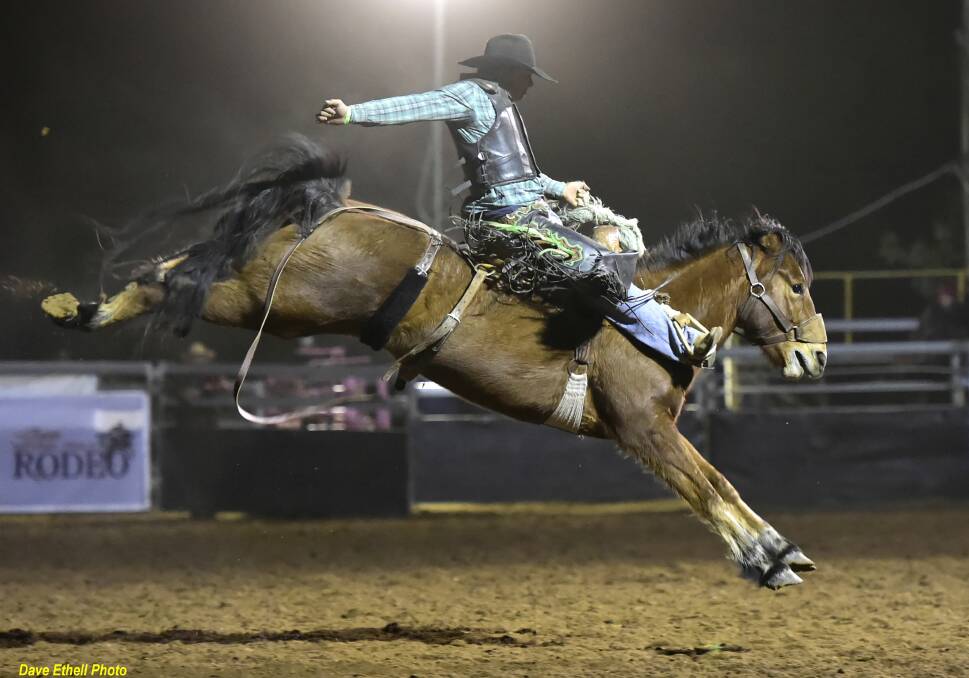 Cameron Webster is sitting in eighth in saddle bronc standings. Picture: Dave Ehtell