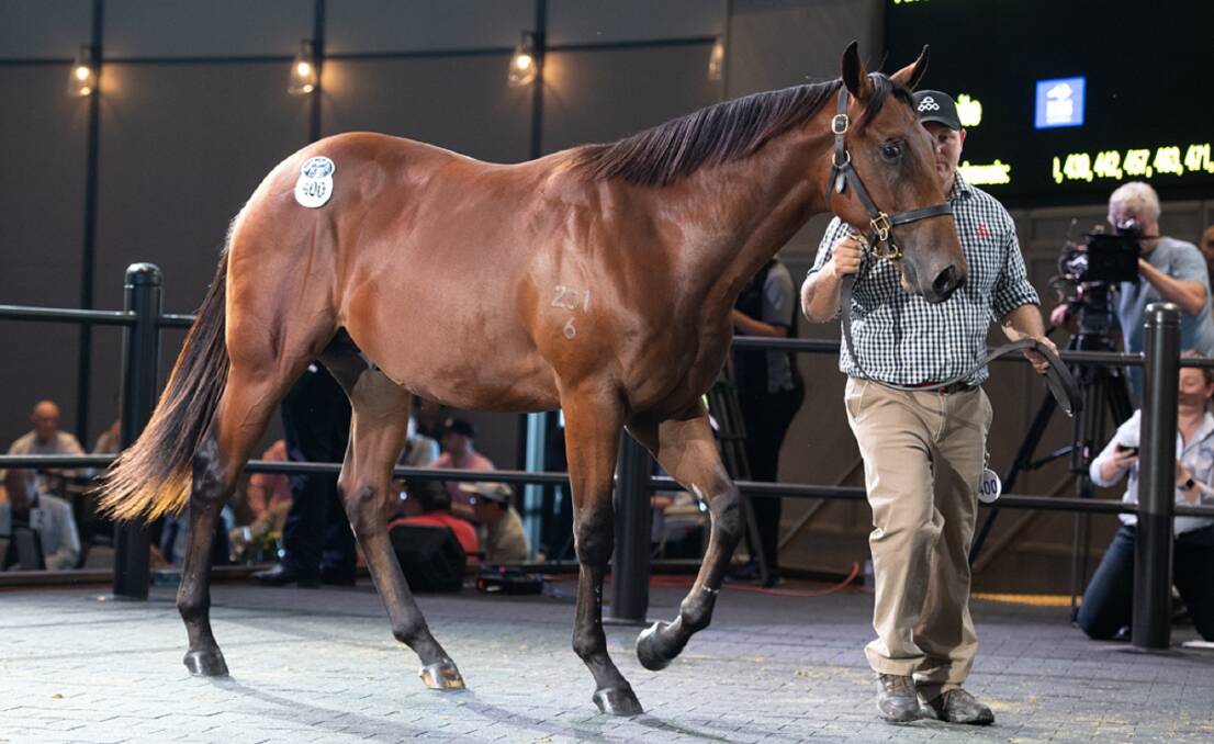 Top sale price was $2.3 million paid for a Fastnet Rock/The Broken Shore colt offered by Arrowfield Stud, Scone, NSW. It was bought by Anthony Freedman, who will train it.