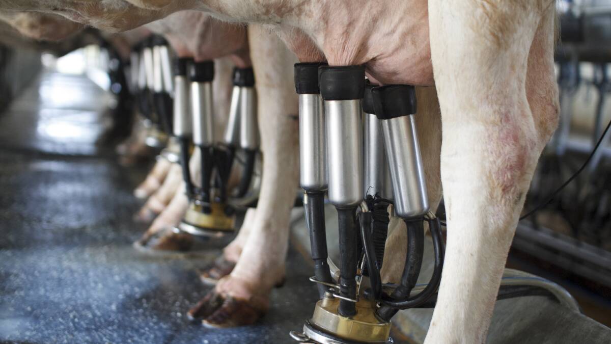 Will increasing DA director fees really help Australia's dairy farmers improve profitability?