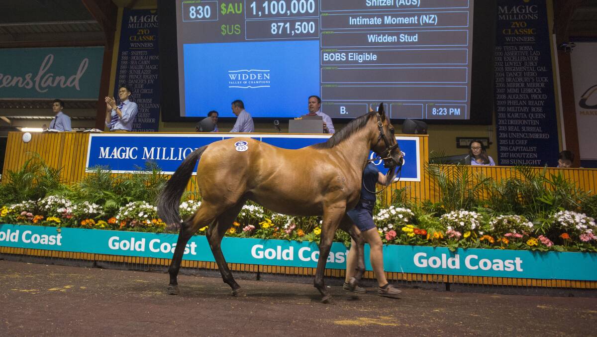 Winners of QTISx bonuses will have the option of 'doubling up' their winnings through the redemption of a voucher which can be applied to selected Queensland yearling sales, including the Magic Millions and Capricornia Yearling Sale.
