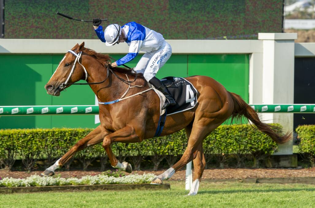 Exciting sprinter Spurcraft ridden by Les Tilley scores a dominant three lengths win in the Listed Bribie Handicap at Doomben last Saturday, December 7. Picture: Racing Queensland