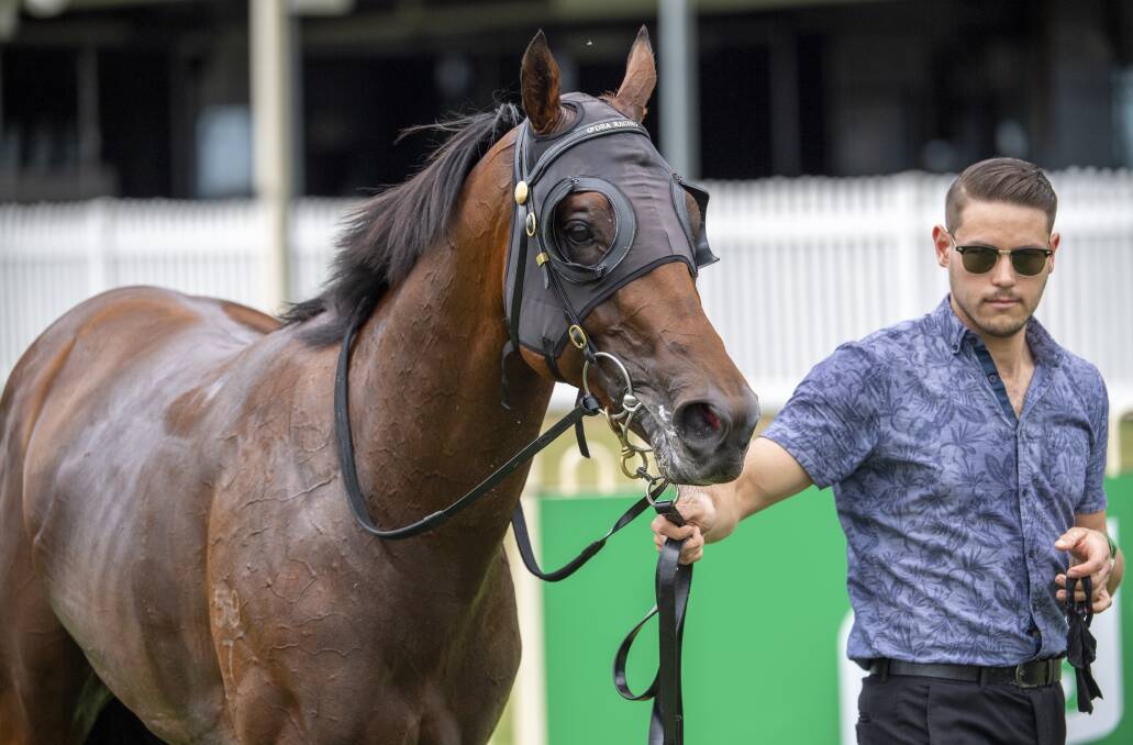 Spill the Beans juvenile Tumbler Ridge, with strapper Matt Hoystead after winning at Eagle Farm in March, was leading QTIS 2YO in March. Picture: Racing Queensland