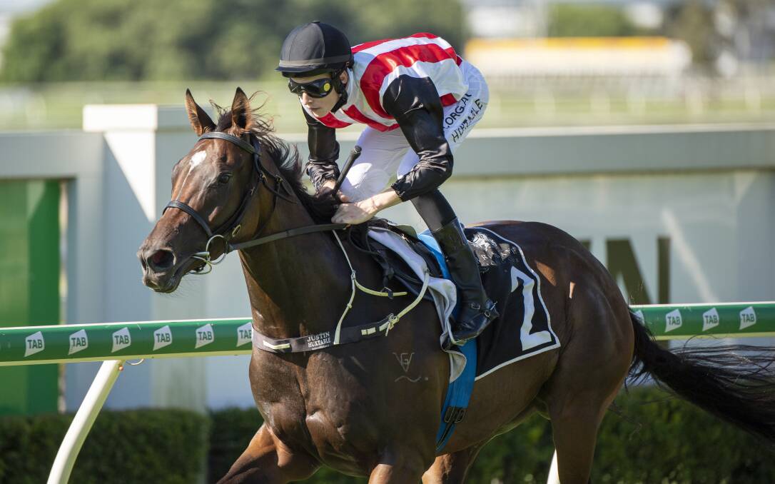 Smart 3YO gelding Stampe ridden by Justin Huxtable wins at Doomben on April 11. Stampe is a second crop son of Whittington. Picture: Racing Queensland