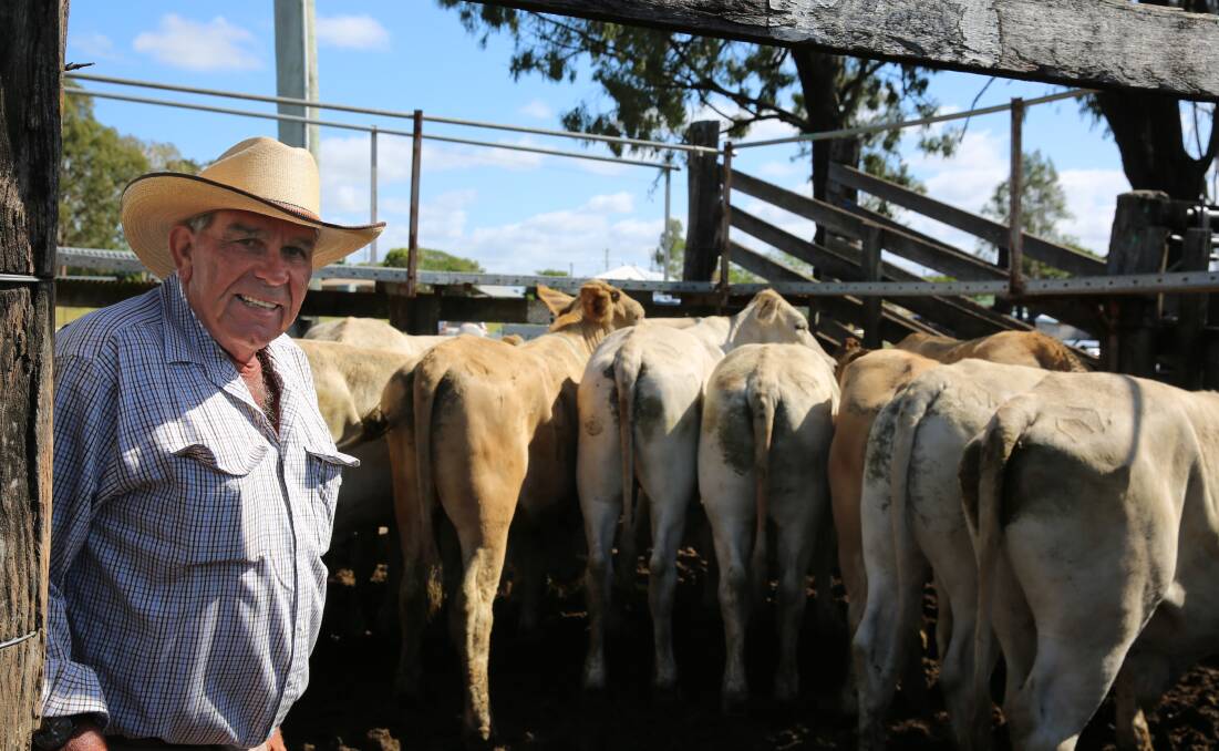 Grant Gericke, Eidsvold, with a pen of his milk to two tooth Charbray steers that sold for 309.2c/kg or $1458/head.