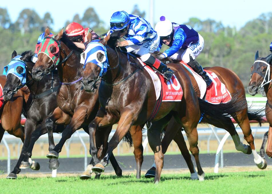 Jockey Michael Cahill rides Balboa Rocks to victory in the Coastline BMW Sunshine Coast Cup on Saturday. Picture - AAP Images/Grant Peters 