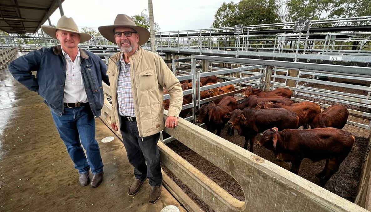 Vendor Lester Boyle, Yarwun, with buyer Don Menzies, Dululu, and the top selling steer pen, a Droughtmaster cross offering which weighed 214kg and sold for 718c/kg to return $1539/head.