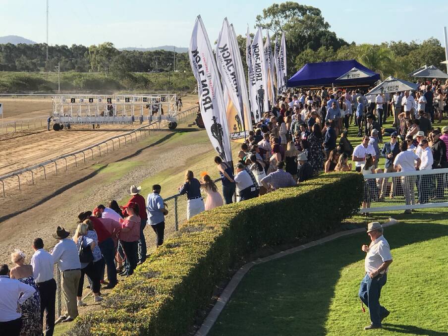 BIG DAY: Runners behind the barrier for Gladstone Cup start. Picture: Tony McMahon.