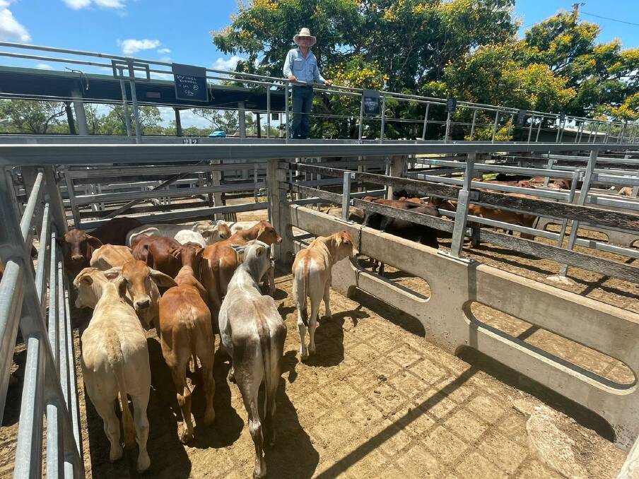 Matt Pearce, SBB GDL, with vendor B and V Halls top-selling weaner pen which broke the cents per kilo record for steers at CQLX when sold for 932.2c/kg. The Brahman cross offering weighed 183kg and returned $1531/hd.