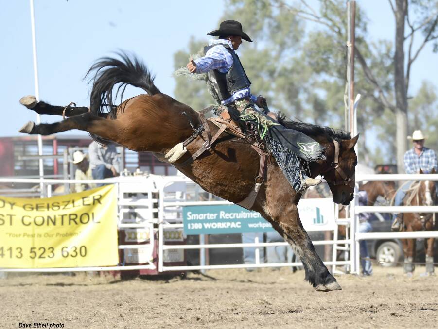 Standings leader Cameron Webster will compete in the saddle bronc at Mt Isa. Picture - Dave Ethell 