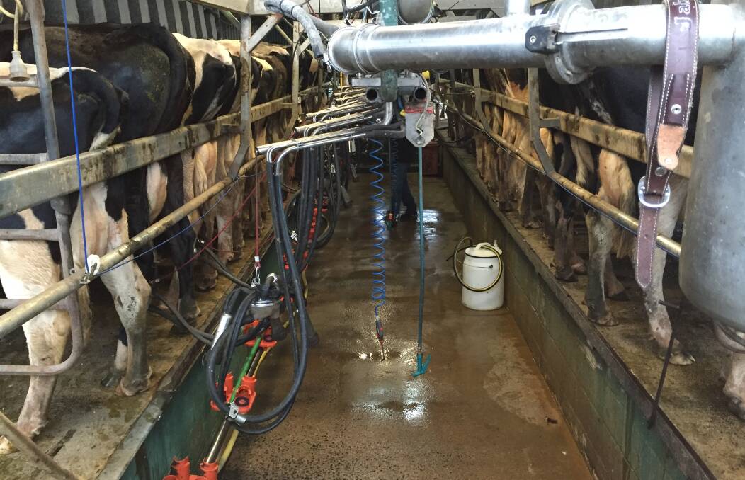 Our dairy farmers have continued to go about their on-farm business as usual.