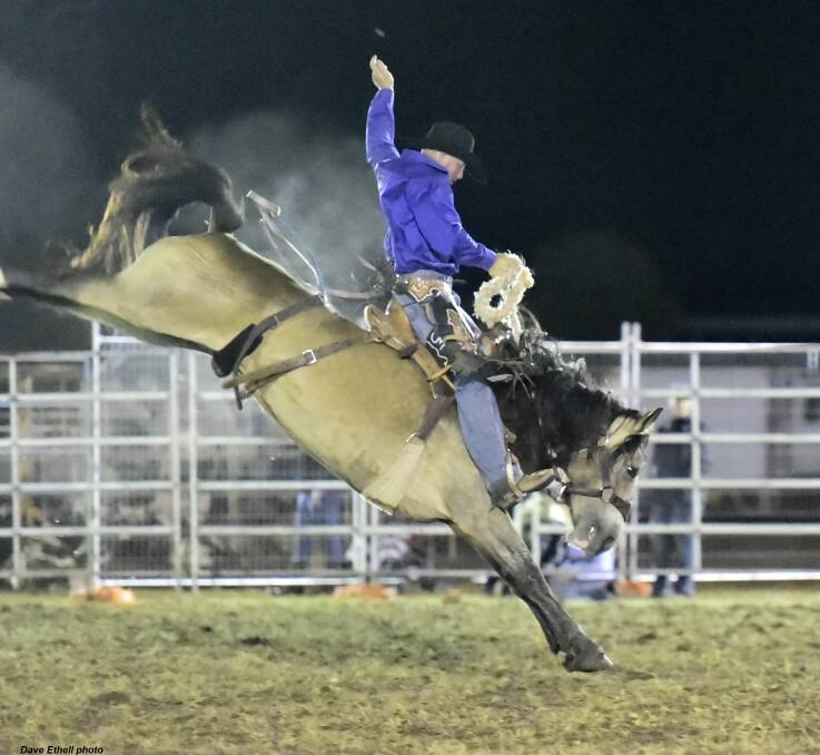 Springsure rider Allan Powell will be one to watch at St Brendan's Rodeo on Saturday. Picture: Dave Ethell 
