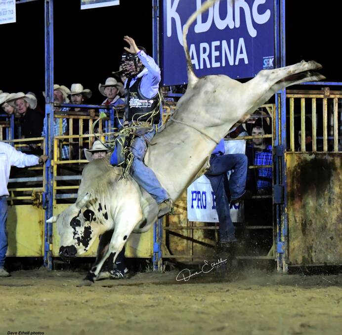 Victorian Will Purcell leads the standings in the open bull ride. Picture: Dave Ethell 