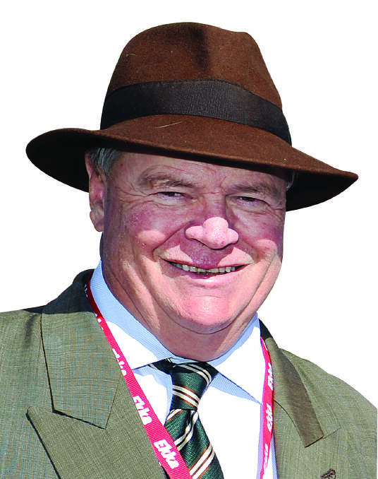 'Old' Scherzoso is ideal Cairns Newmarket winner