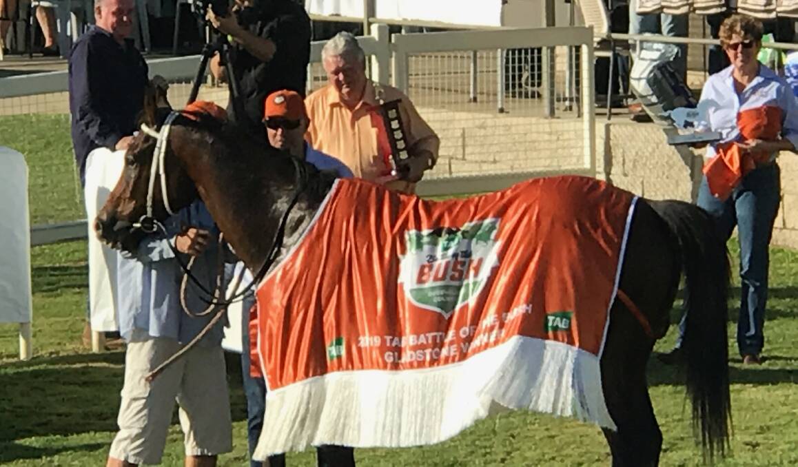 Fabs Cowboy pictured with his Gladstone Battle of the Bush rug.  In the background is Federal Member for Flynn, Ken ODowd MP, about to present the winning trophy. Picture courtesy of Tony McMahon.