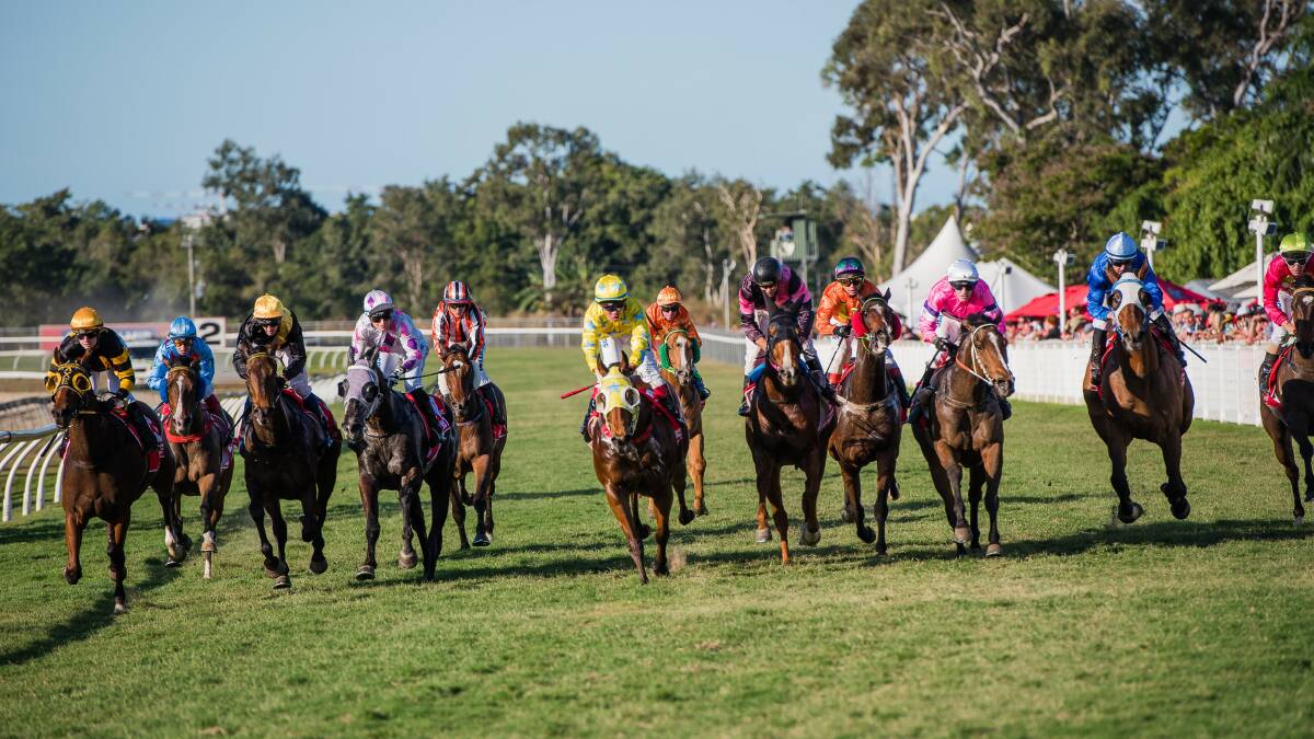 The Thoroughbred industry has come together to announce a strategy to develop a national horse welfare regime which will focus on horses exiting the Thoroughbred industry. Picture: Cairns Amateurs