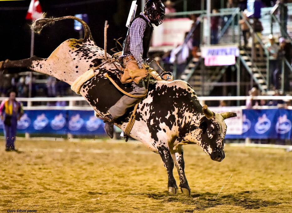 Central Queensland rider Brady Fielder is this season’s leader in rookie bull ride standings. Picture - Dave Ethell