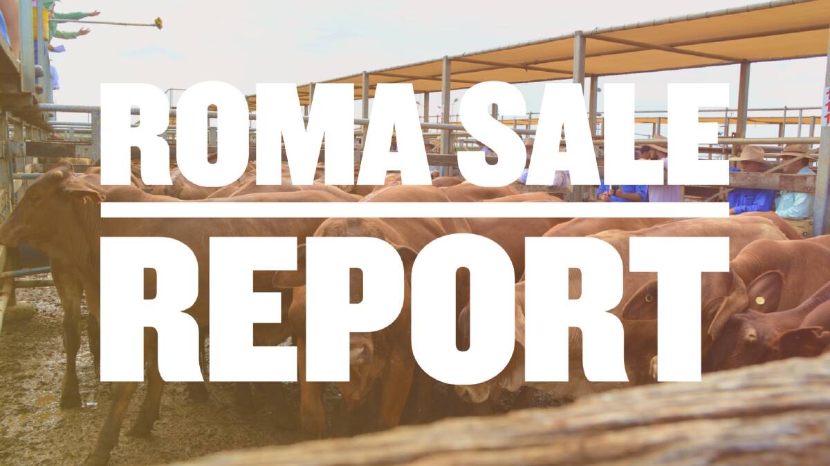 Santa steers sell to 304c/$1871 at Roma prime sale