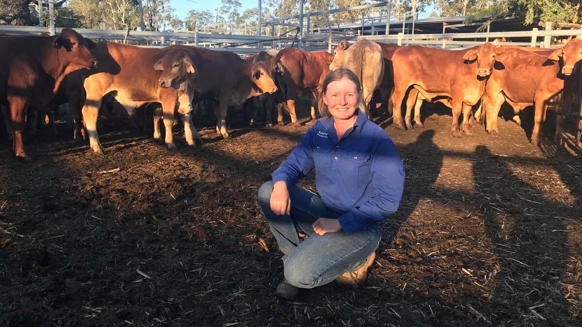 Megan Birch, Birch Pastoral, sold Droughtmaster steers for 388c/kg at 378kg returning $1469/hd. They also sold heifers for 374c/kg at 335kg to return $1253/hd.
