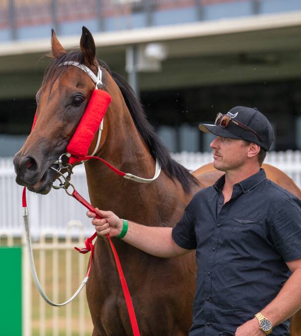 Whittington 3YO gelding Bold Style after winning at Doomben. Picture: Racing Queensland

