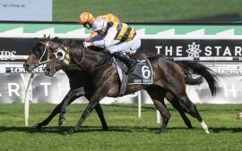 Queensland-bred and sold Australian Derby winner Quick Thinker (outside) ridden by Opie Bossom prevails over runner-up Zebrowski (Hugh Bowman) at Randwick. Picture: Inglis
