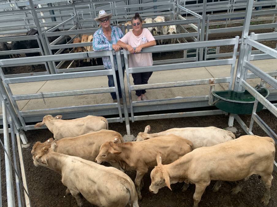 Jack and Paula Sammon, Beaudesert, with their quality pen of weaner steers they bought at the CQLX sale for 558.2c/kg. Weighing 175kg, the cattle made a return of $976/head for the vendor, S and M Hartwig.