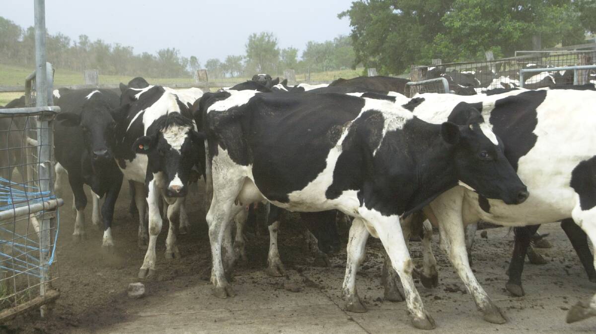 Dairy farmers to review DA performance