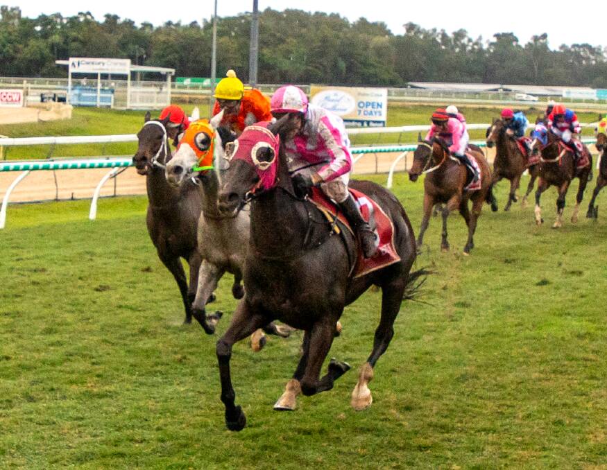 EXPERIENCE: Mackay trained Scherzoso ridden by Robert Thompson (white and pink colours) defies wind and rain to win this year's Cairns Newmarket with last year's Townsville Cleveland Bay Handicap winner Grey Missile ridden by Brad Pengelly (orange colours) second. Picture: Mike Mills