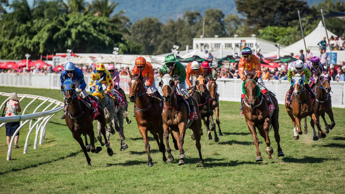 Action at the 2018 Cairns Amateurs. A total of 216 nominations were received for the 15 races programmed for this year's two day carnival on Friday and Saturday, September 13 and 14. Picture: Cairns Amateurs