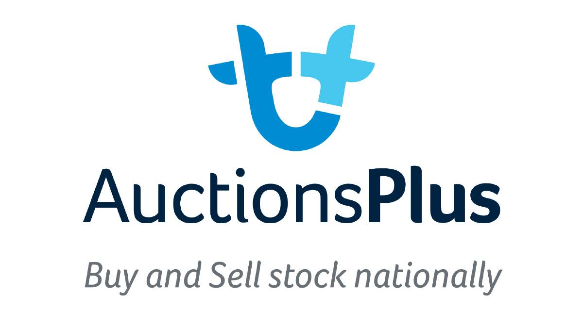 Angus yearling steers reach 346c/$1025 on AuctionsPlus