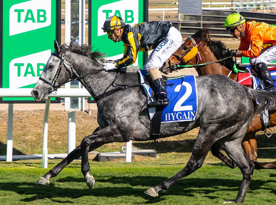 Versatile galloper Scrabble has won races from Townsville to Texas. Having won the Texas Cup last Saturday, December 7, his previous win (pictured) was at Townsville on July 25 when ridden by Ashley Butler. Picture: Mike Mills
