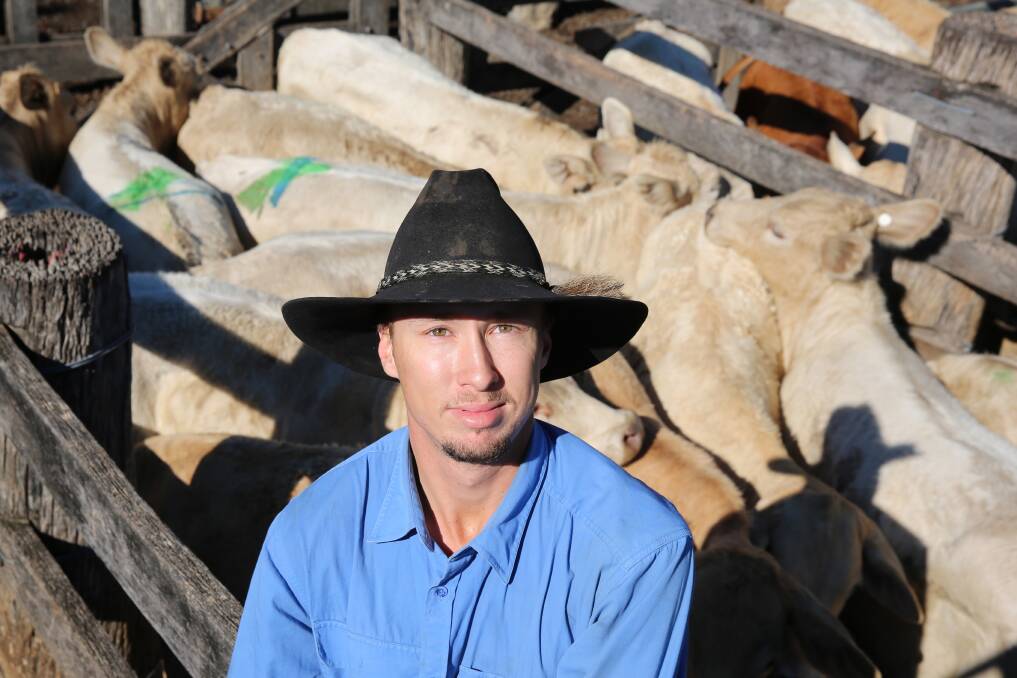 Jared Trigger, Biggenden, with a pen of Charbray heifers sold by the Trigger family for 266.2c/kg or $706/head.