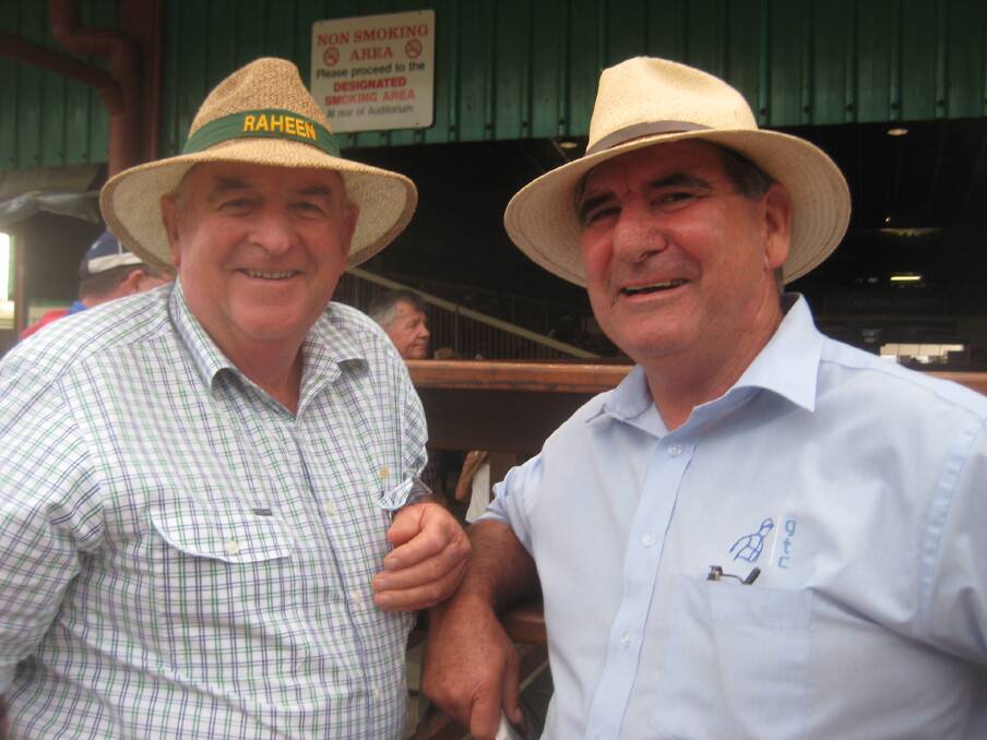Chinchilla breeder Wally Gleeson (right) with Thoroughbred Breeders Queensland Association president Basil Nolan, Raheen, Gladfield. The Gleeson family bred last week's Group 1 JJ Atkins winner Rothfire. Picture: Down The Straight 