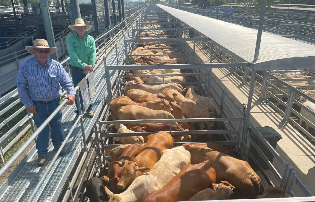 Vendor Geoff Shaw, Bayfield Cattle Company, Biloela, with Julian Laver, Nutrien Ag Solutions Rockhampton, and his Charbray cross cows and calves which reached $4200/unit.