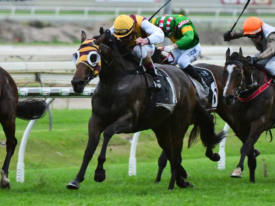 Jim Byrne rides Most Important to victory in the Radio Tab Keith Noud Quality Handicap at Doomben on Saturday. (AAP Image/Trackside Photograph, Grant Peters)