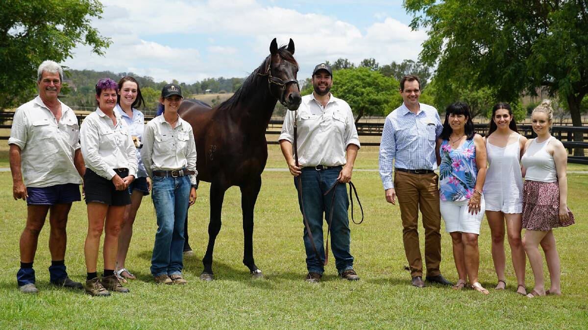Australian Champion First Season Sire by earnings Sidestep posing for a Christmas 2018 photo with Telemon staff and owners. From left, Gary Faul, Kaleen Faul, Beth Heather, Brooke Ward, Sidestep, Joe Heather (holding horse), Dan Fletcher, Rae Fletcher, Jordan Fletcher and Shannon Fletcher.