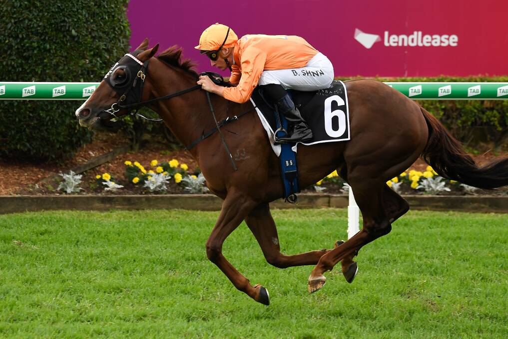 Tyzone wins the Bernborough Ascot BRC Sprint at Doomben on May 18. Tyzone is a sale graduate of the Magic Millions Ready to Run 2YO sale. (AAP image/Albert Perez) 