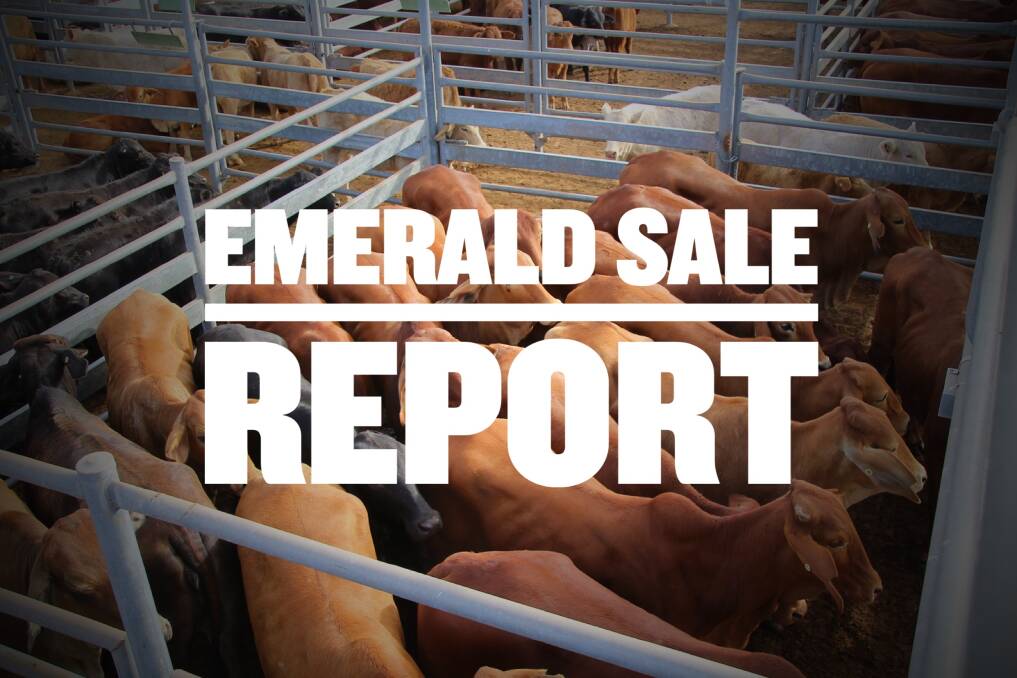Weaner steers reach 862c/kg at Emerald