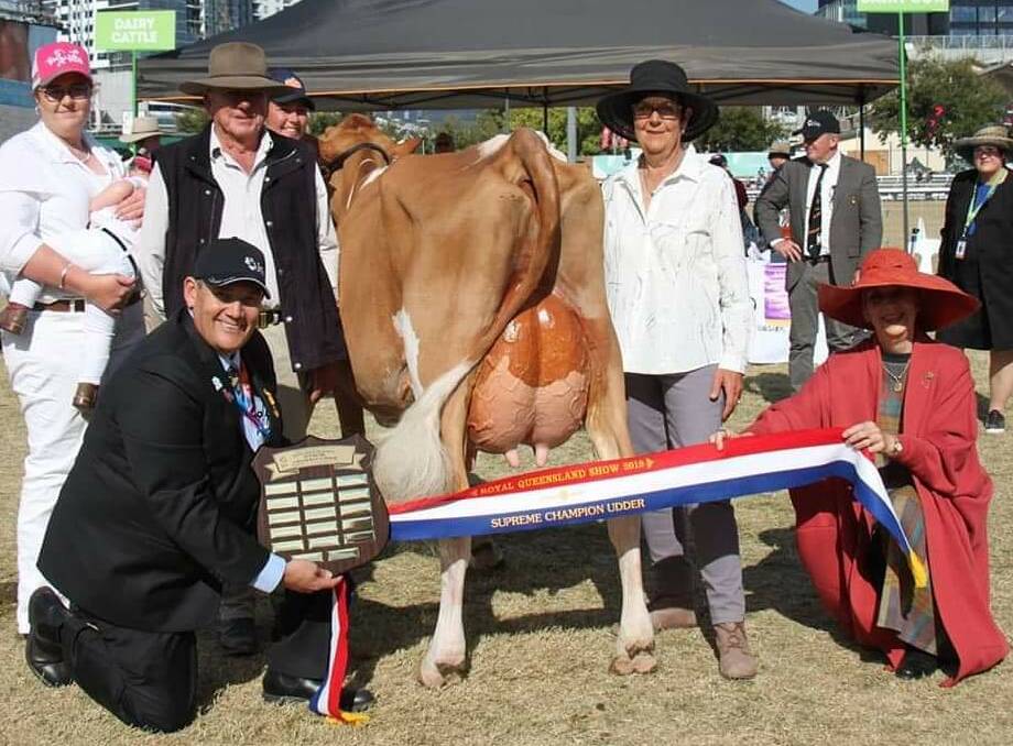 The Supreme Udder award went to Guernsey breed - Bruhanna Francis the 12th exhibited by the Hayden family from Pilton.