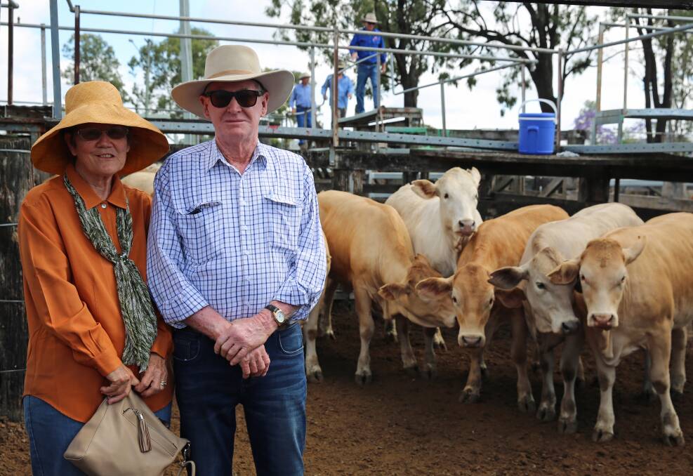 Diane and Gavin Arneil, The Wee Hirsel, Thangool with a pen of their Charbray heifers. The milk tooth heifers sold for 333.2c/kg or $1299/head.