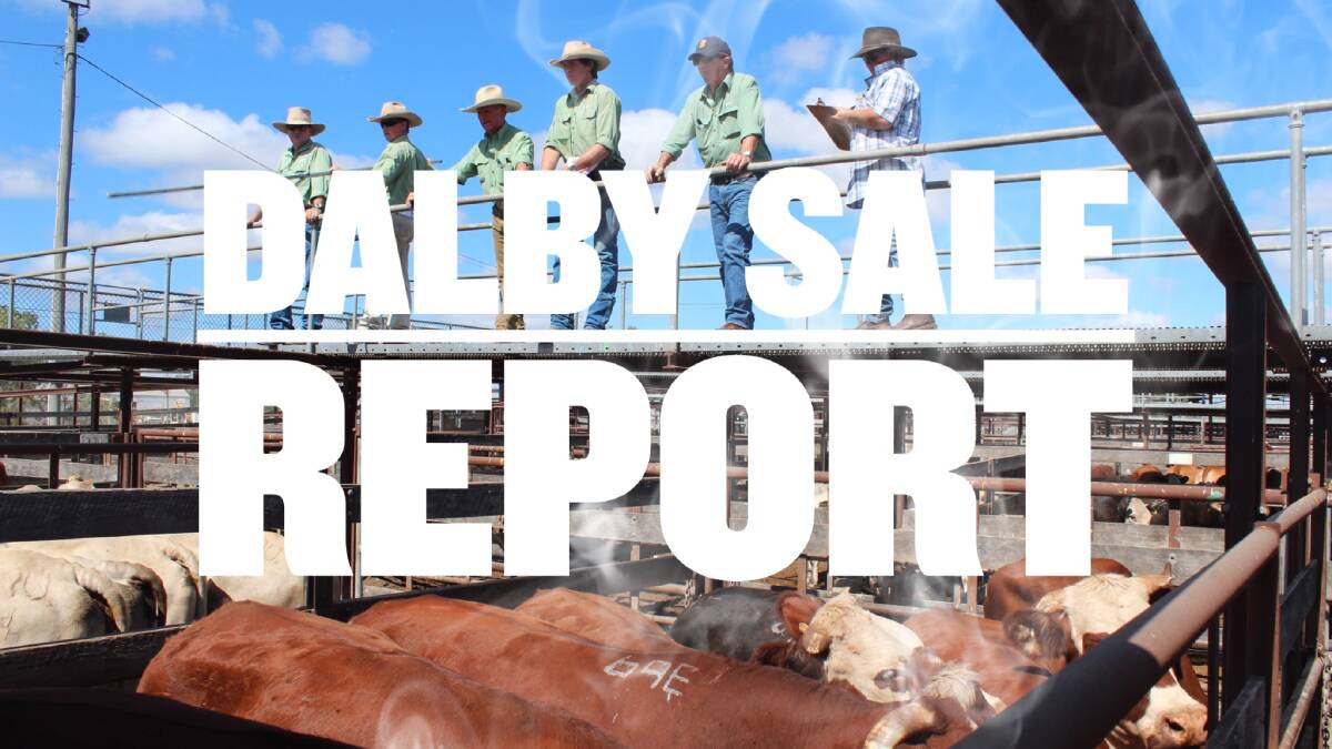 Heavy grown steers make 341.2c, av 335c at Dalby