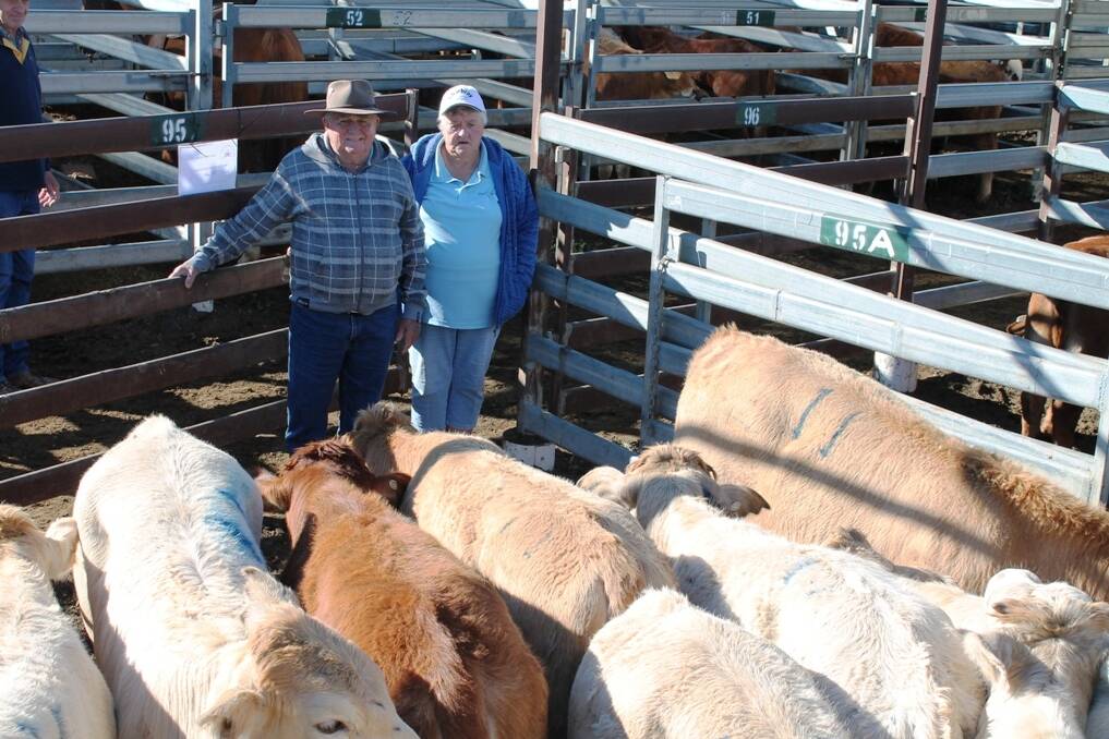 
Champion Pen of heifers overall was awarded to Harold and Pam Dwyer, Spring Hill, Biggenden with a quality pen of 265kg Charbray heifers selling for $506 at Montos annual store cattle show and sale.