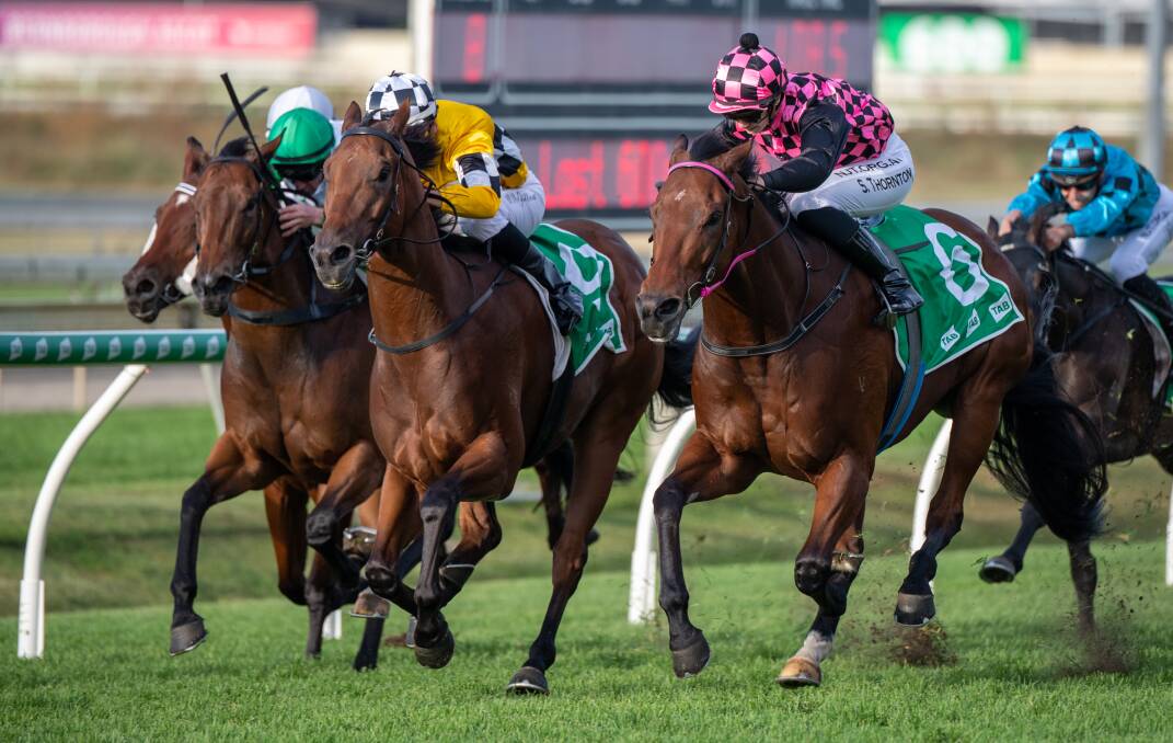 North Queensland-bred and owned Tambo's Mate (yellow colours) ridden by Matt McGillivray winning Group 3 BRC Doomben Sprint. Picture: Racing Queensland
