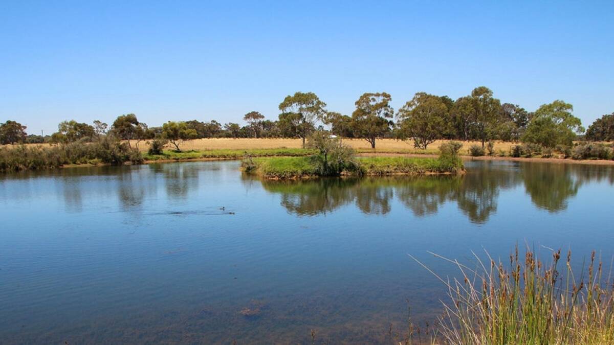 Granite Belt growers have moved mountains in developing a water tight study of the Emu Swamp proposal.
