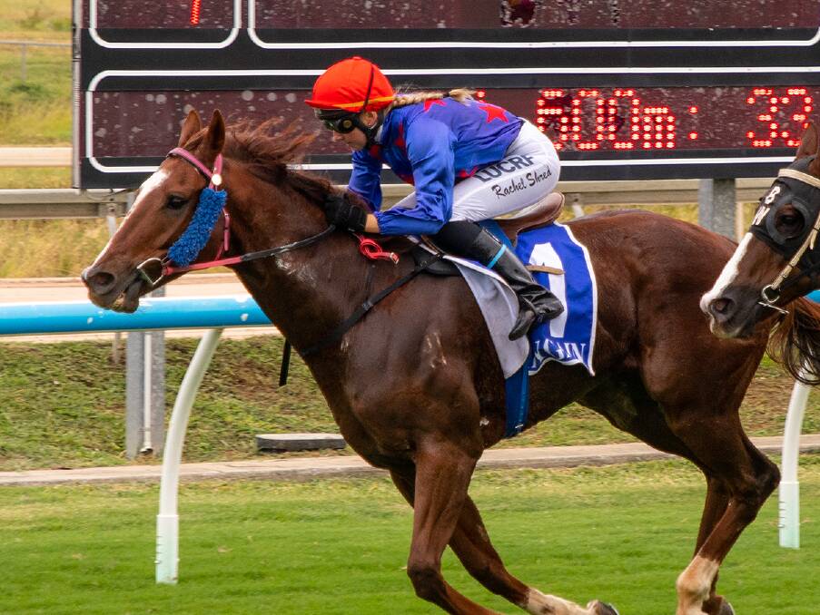 Recent Charters Towers winner Windmill Lane has now won 14 races in North Queensland for Atherton trainer Ricky Ludwig. Seven have been at Townsville including this win in April last year when ridden by Rachel Shred. Picture: Mike Mills
