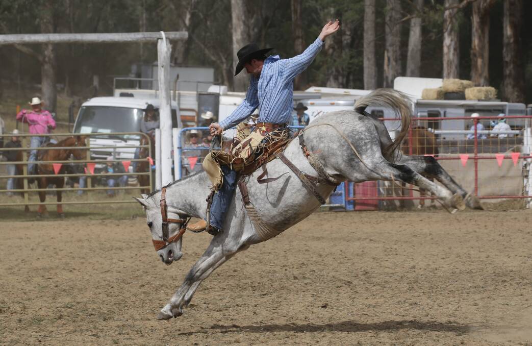 Tim Hammond is one of the favourites for the saddle bronc at Moranbah. Picture:  Barry Richards