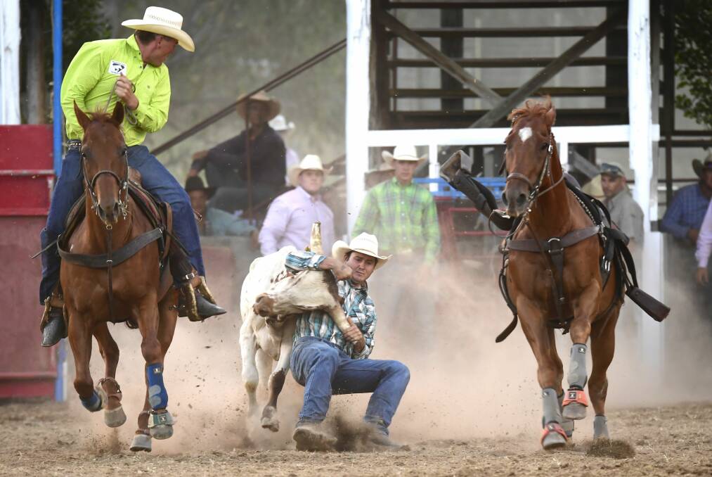 LEADER: Ryley Gibb, of Charters Towers, is one of the favourites in the steer wrestling at Richmond. Picture: Dave Ethell 