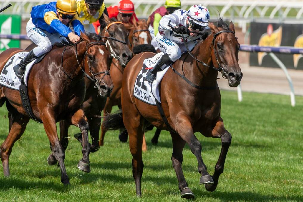 Champion mare Sunlight, winner of last year's Group 1 VRC Newmarket with jockey Barend Vorster, will be a star attraction at next week's Magic Millions National Broodmare Sale at the Gold Coast. Picture: Magic Millions
